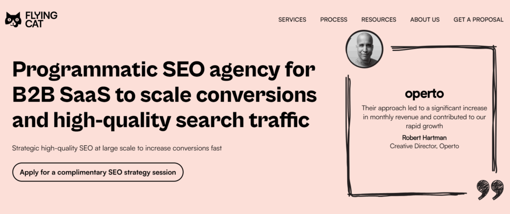 Flying cat Programmatic seo company
