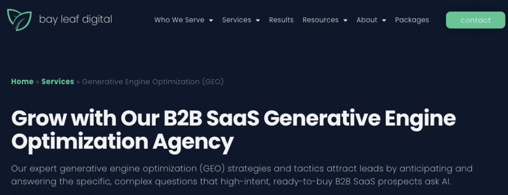 Snapshot of hero section of Bay Leag Digital's GEO page