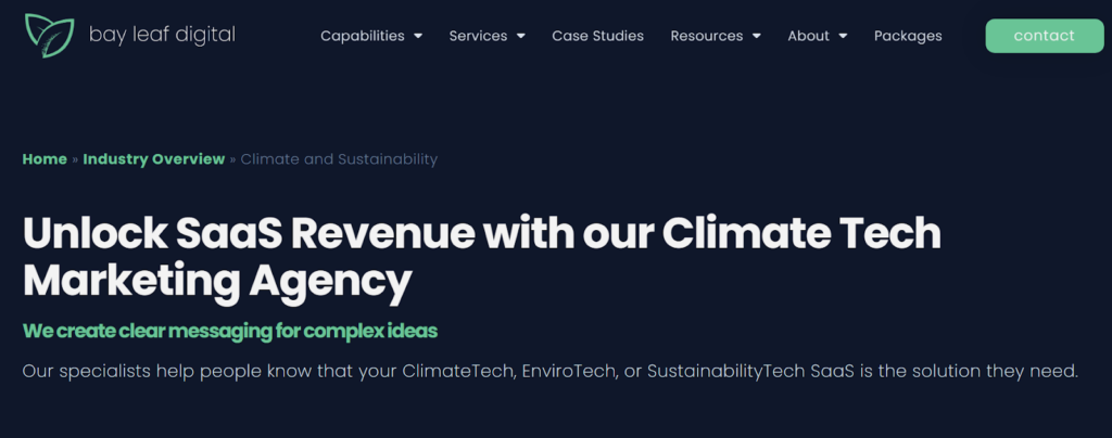 B2B SaaS marketing agency