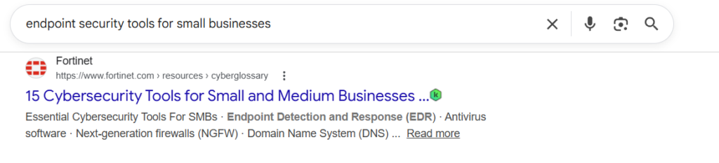 Google search results for ess for small business